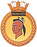 HMCS Iroquois badge
