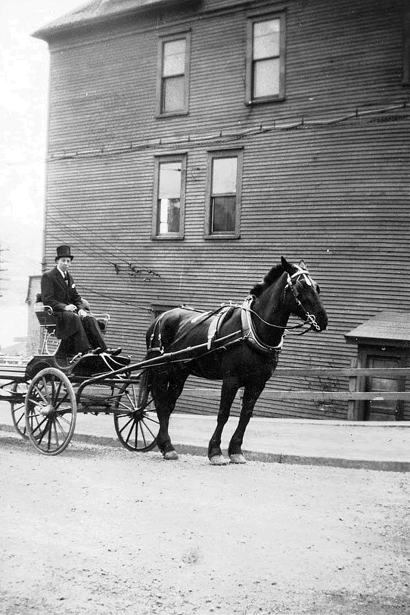 horse and buggy.