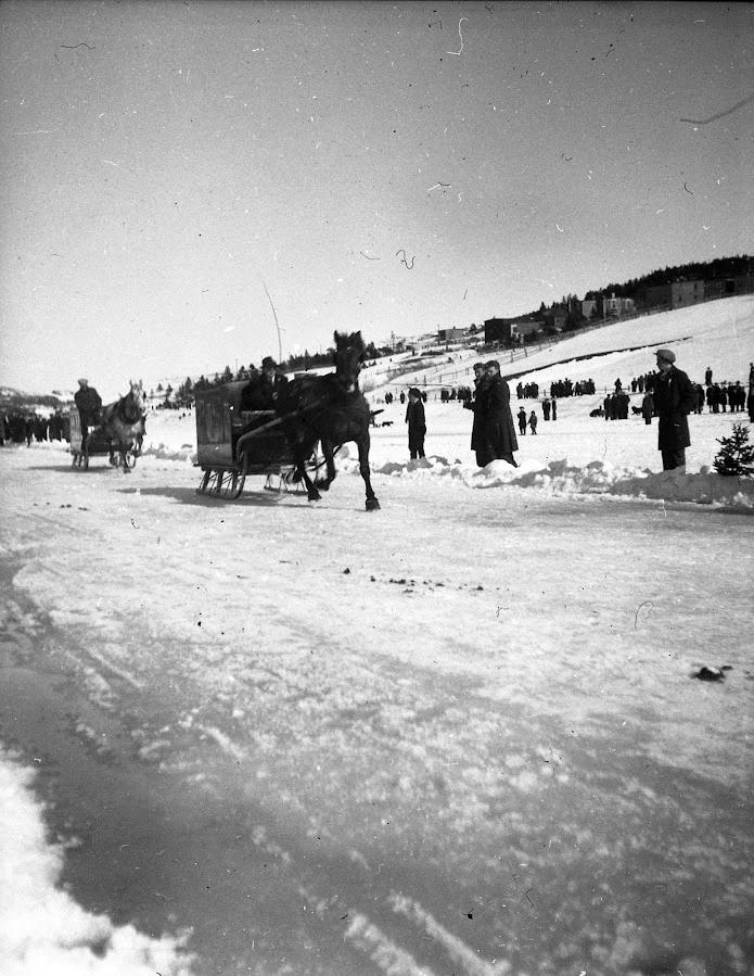 Frozen Quidi Vidi Lake.