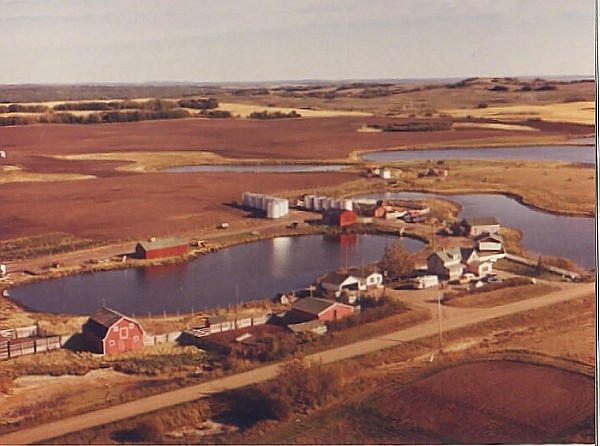 Benoit farm in Chauvin, Alberta